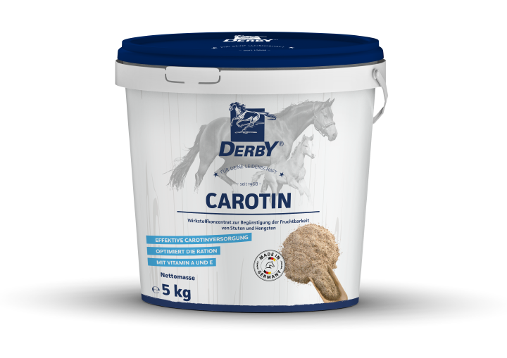 DERBY Carotin DERBY Carotin